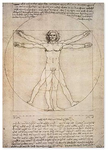 JUNIWORDS Poster, Leonardo da Vinci, Der vitruvianische Mensch, Proportionszeichnung nach Vitruv, 100 x 140 cm