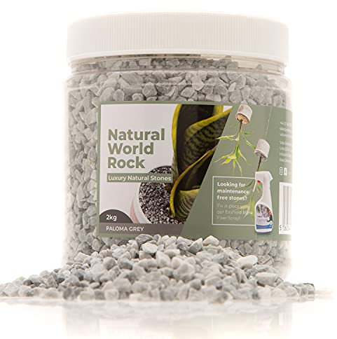 Natural World Steinpflanzen-Topper, schöne Natursteine, 2kg, 5 mm Durchmesser, ideal für Blumentöpfe innen und außen, für Zuhause, Garten, Blumentöpfe & (Paloma-Grau)
