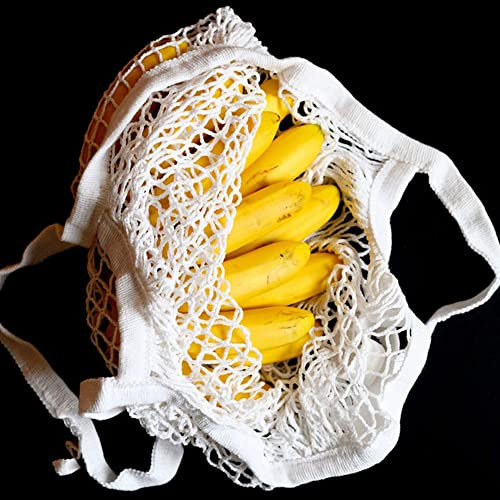 bananensamen pflanzen,bananen samen, winterhart essbar bananen pflanzen,bonsai baum obst samen, bonsaibaum topfpflanzen draußen winterhart obst bio samen obst frisch 50 Stück