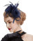 DRESHOW Fascinator Hüte für Damen Pillbox Hut mit Schleier Stirnband und Einer Gegabelten Clip Tea Party Kopfbedeckung