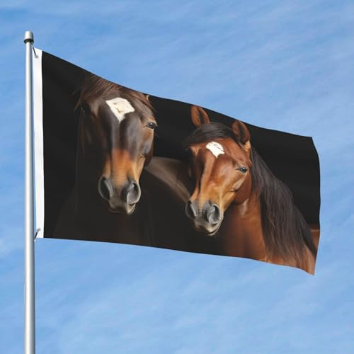 Flagge 60 cm x 90 cm, für drinnen und draußen, mit Öse, Frühling und Sommer, zwei Pferde, stehende Flaggen für den Außenbereich, Garten, Hof, Banner, dekoratives Schild, saisonale Willkommensflagge