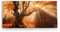 Paul Sinus Wandbild 120x60cm Große Eiche Baum Herbst Herbstblätter Sonnenstrahl Wald