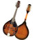 Mandolins Instrument for Beginner Electric Sapele Mandolin With ABS Hard Case Selected Material Beautiful