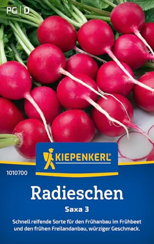 Kiepenkerl Radieschensamen Saxa 3 1010700, Gemüsesaat | Würziger Geschmack, Frühbeet und Freiland, aromatisch
