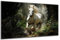 DARO Design - Wand-Bild auf 6mm HDF 30x20 cm Pferd weiß - Wand-Deko Bilder Geschenk