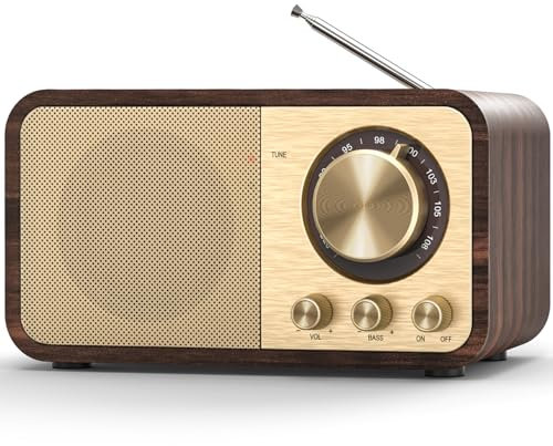 Radio Nostalgiche FM Con Connettività Bluetooth, Vintage per Cucina e Camera da Letto, Supporto per Schede TF, Prese AUX e USB