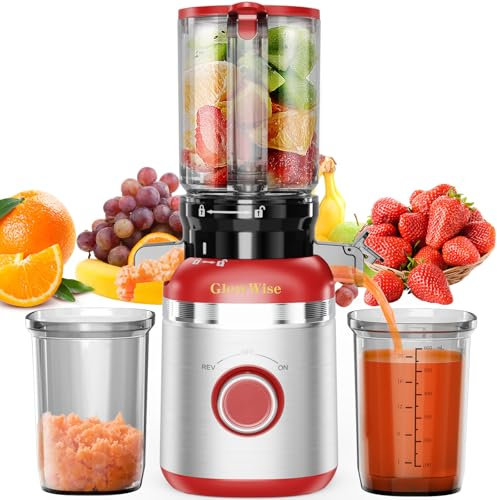 GlowWise - Juicer machines with built-in blades for slicing whole fruits and vegetables, cold press juicer with 4.3 inch large feed channel, easy to clean,