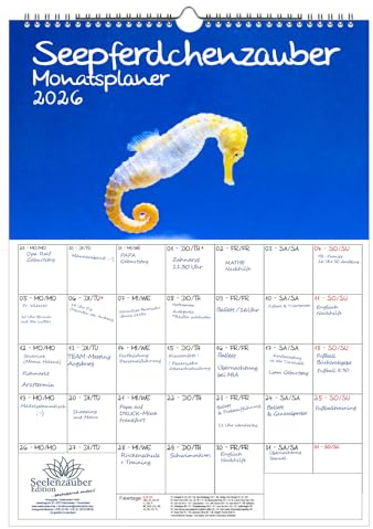 Seepferdchenzauber Planer DIN A3 Kalender für 2026 Unterwasser - Geschenkset Inhalt: 1x Kalender, 1x Weihnachtsanhänger (insgesamt 2 Teile)