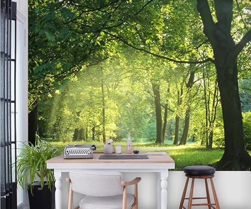 Papier Peint déco poster Arbre de la forêt Taille:L200CMxH175CM Déco et photo murale Qualité HD Intissé Chambre Salon Decoration