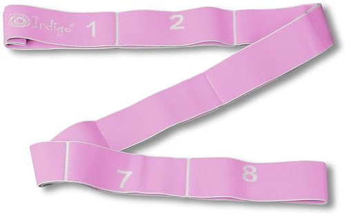 DRUNA Banda Elástica Cinta Cerrada 8 Asas, Estiramiento, Fitness, Gimnasia Rítmica, Yoga, Pilates, Baile (Púrpura- Light)