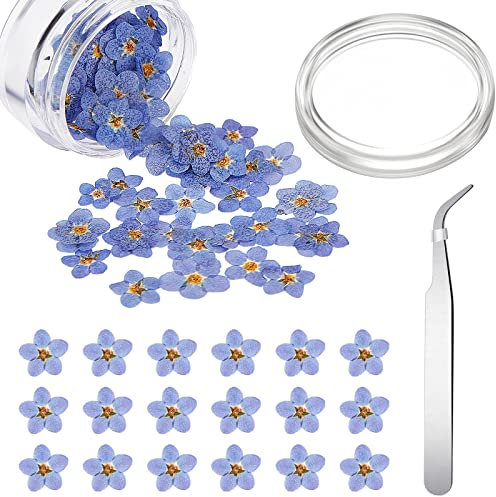 Vergissmeinnicht Getrocknete Blumen mit Silber Ellbogen Pinzetten Natürliche Gepresste Blumen Echte Getrocknete Blumen Kleine Handwerk Trockenblumen für Schmuck Kerze Karte Herstellung DIY