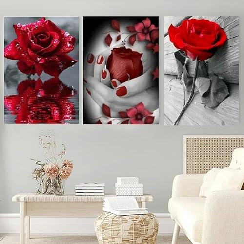 AmNooL Décoration d'intérieur toile noire et blanche Art mural peinture rose rouge série affiche belle fille enfants chambre décor fond d'écran sans cadre-40x50cmX3