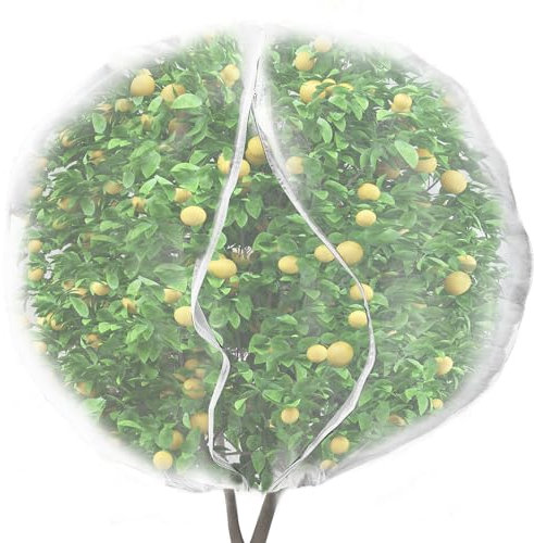 1Pc Insect Bird Barrier Netting Mesh, 3.3×5FtGarden Plant Covers from Insects Fruits Protection Netting Cover Bags Insect Protection Netting for Protecting Garden Trees Strawberry Vegetables Flowers