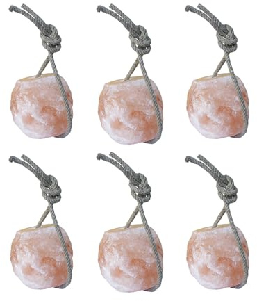 Himalaya-Salzleckstein für Pferde Delizia – 6er Set mit Kordel, je 2,5–3 kg – natürliche Mineralquelle für Stall & Weide – langlebig & gesund