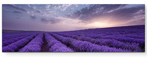 Paul Sinus Art Leinwandbilder | Bilder Leinwand 150x50cm Lavendel Feld