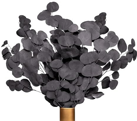 Angebot Black Week Farrell Brec Eukalyptus - extra langlebige und 65-70 cm lange Trockenblumen Deko - getrocknetes Eukalyptus - getrocknete Blumen , Vase Trockenblumenstrauß , Boho Deko (Schwarz-Lila)