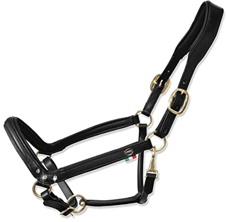 Horses, Lederhalfter Tasting Anatomic, Komfortables Halfter zum Führen des Pferdes an der Hand oder zum Sichern beim Putzen, Satteln oder Transportieren (Full, Schwarz)