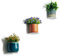 Soporte de Pared Maceta - Plantas Artificiales y Naturales Decorativas, Maceteros Interior, Jardineras Exterior (Blanco, 3 Unidades)
