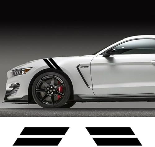 CTLTSRX Auto-Doppelstangenhaube, Kotflügel-Haken-Markierungsseite, für Ford Mustang GT500 GT350 GT, Auto-Grafikstreifen, Sport-Vinyl-Dekor-Aufkleber-Set