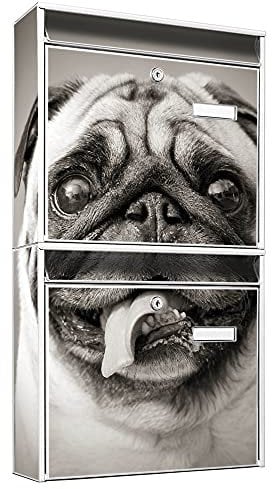 banjado Briefkastenanlage 2 Fach - 2 Briefkästen 36x64x10cm groß - Doppelbriefkasten Set - Namensschild, 2 Schlüssel, Montagematerial - Stahl verzinkt weiß - Motiv Mops Porträt