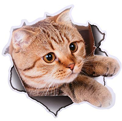 Stickers Chat,stickers voiture 3d,Bâton de mur de chat de bâton mignon 3d, bâton de mur d'animal de chien de chat 3d, bâton de mur de mode à la maison imperméable 20cm× 21cm