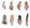 Dtoterul 220 Stück Natürlich Federn, Federn zum basteln Natur, bastelfedern fasanenfedern, 8 Stile, für Dream Catcher Crafts,Kostüme, Hüte, osterdeko(Braun)