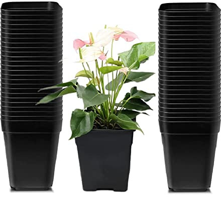 DETENG Confezione da 50 vasi quadrati in plastica da 6,9 cm, profondi 7,6 cm, per piante grasse, piccoli vasi per fiori e semi, per germinazione con drenaggio (7 cm, nero)