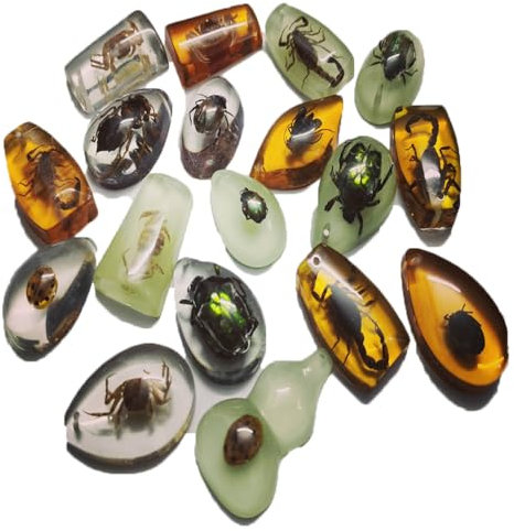 18 pièces Fossiles d'ambre d'insectes, pendentifs fossiles d'ambre BOSOIRSOU, différents spécimens d'insectes, insectes conservés en résine, jouet éducatif pour enfants - motifs aléatoires