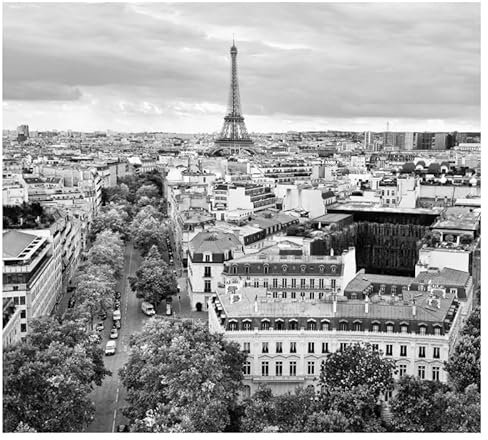 Scenolia Papier Peint intissé Paris Panorama Noir et Blanc 300 x 270 cm (LxH) - Tapisserie panoramique Made in France