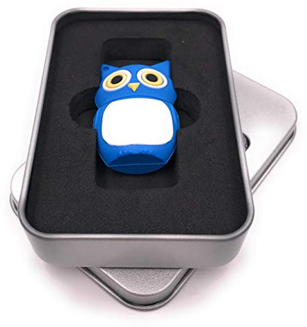 Onwomania Hibou Oiseau en Bleu Clé USB dans Une boîte Cadeau 32 Go USB 3.0