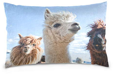 Linomo Kissenbezug 40x60 cm, Lama Alpaka Dekorative Kissenbezug Kissenhülle für Couch Sofa Bett Hause