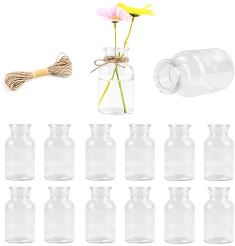 iulrtba 12PCS Glass Vases for Flowers, Mini Bud Vases Set with Jute Twine & Label Papers for Weddings, Home, Living Room