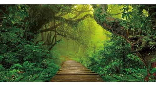Xiaoterna 20x10ft Forest Backdrop Spring Jungle Safari Natural Scenery Photography Background Jungle Rainforest Woods Old Trees Sunshine Backdrop Adults Kids Portrait Photo Studio Props