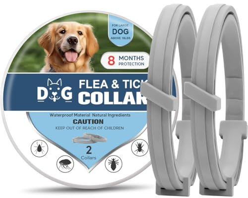 Dog Collar,Dog Collars Medium, Collars for Small, Large Dogs,Adjustable Collar 8 Months -2P