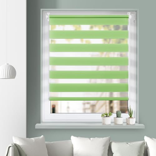 Grandekor Rollo für Tag und Nacht, doppelter Stoff, Rollo für Tag und Nacht, ohne Bohren, inklusive Installationszubehör für Fenster oder Tür, 55 x 130 cm (B x H), Grün