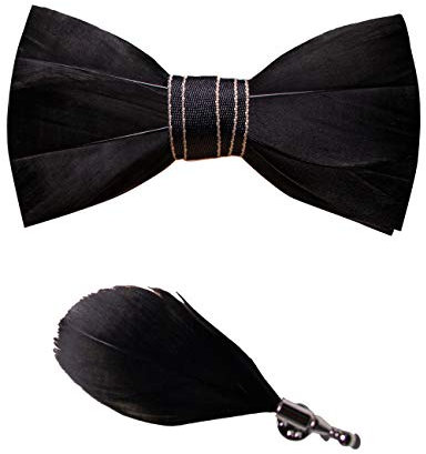 JEMYGINS Noeud Papillon Homme noir en Plume en Plumes Fait Main et Broche Ensemble Compris boîte