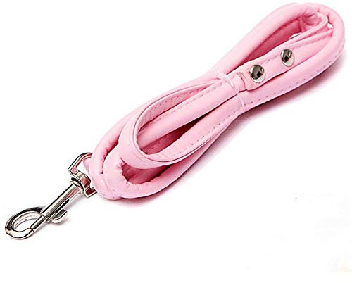 Générique 1 cm x 120 cm Hundeleine aus Leder für kleine Hunde, Katzen, Hunde, Rosa