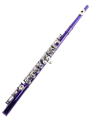 Flauto Traverso Flauto Laccato Viola 16 Fori Flauto Chiuso C Flauto B Coda E Chiave Flauto Nickel Key