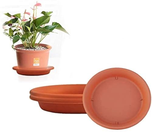 zosenda Lot de 3 soucoupes en plastique pour pot de fleurs - Pour intérieur ou extérieur - Idéal pour contenir les gouttes d'eau et la terre (21 x 3,5 cm)
