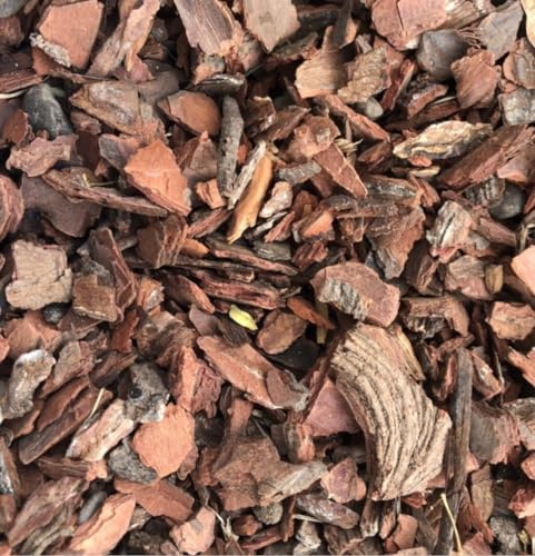 Corteza de Pino Natural - 5kg - Ideal para Cubrir Jardines