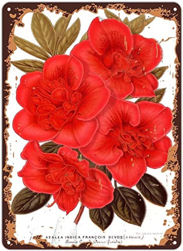 Rustikales Retro-Metall-Blechschild, Vintage-Blume, botanischer Rhododendron, florale Illustration, Blumenkunst, Zuhause, Outdoor, Bauernhaus, Haus, Schilder, Garten, Hof, Innen- und Außenbereich,