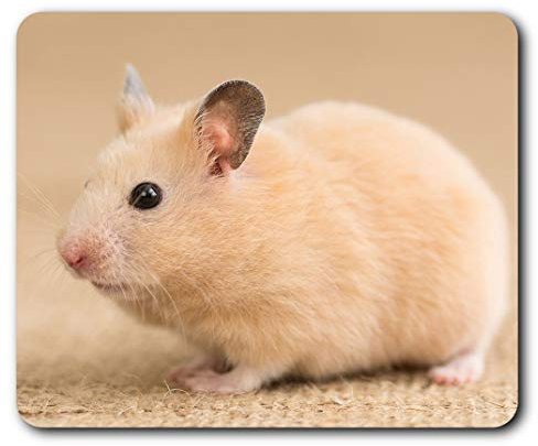 Komfortable Mauspad – niedliche Nagetiermaus Hamster 23,5 x 19,6 cm (9,3 x 7,7 Zoll) für Computer & Laptop, Büro, Geschenk, rutschfeste Unterseite – RM3709