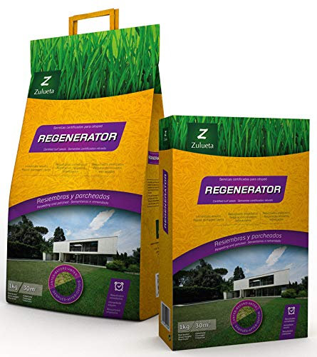 Zulueta Semilla Césped Regenerator - 5 Kg
