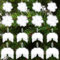 Bekeify 16 Stück Weihnachten Engelsflügel und Schneeflocken Weiß Federn Weihnachtsbaum Deko Engel Weihnachtsschmuck Feder Flügel Ornament Christbaumschmuck Anhänger für Weihnachtsfeier Dekoration DIY