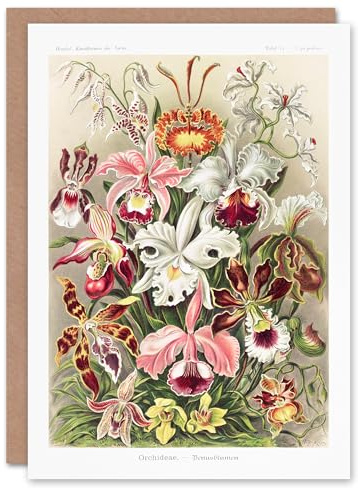 Artery8 Ernst Haeckel Art Card Orchid Flower Colourful Varieties