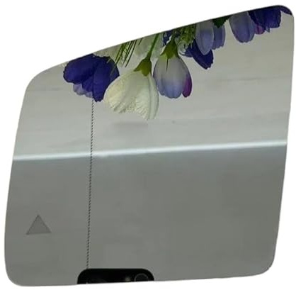 TASEKI Türspiegelglas Für GL Für ML Für GLE-Klasse W164 W166 2010-2018 Weitwinkel-Ersatz Beheiztes Toter-Winkel-Warnflügel-Heckspiegelglas Außenspiegel Glas(Left Side 1pcs)