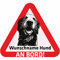 Indigos UG - Autoaufkleber selbst gestalten Namensaufkleber Hund 15 cm - Golden Retriever - Sticker mit Name & Wunschtext personalisiert selbstklebend - Motorrad - LKW - Heckscheibenaufkleber