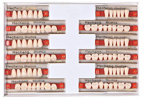 Angzhili 84 Pcs Dental Acrylic Resin Denture False Teeth 3 Sets Synthetic Polymer Resin Denture Teeth 23 Shade A2 Upper + Lower Dental Materials