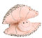 Ministry of Pets Coral the Clam Plush Dog Toy