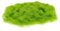 QUARKZMAN Erba Statica, Polvere di Erba Artificiale in Nylon 5mm 2 x 30g Erba Finta per Modellismo Ferroviario, Paesaggio Ferroviario, Terreno Sabbioso, Verde, Confezione da 2